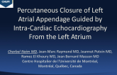 TCT 173: Percutaneous Closure of Left Atrial Appendage Guided by Intracardiac Echocardiography from the Left Atrium