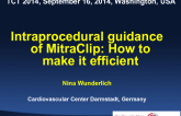 Intraprocedural Guidance of MitraClip: How to Make it Efficient!