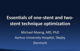 Cases #2 and #3: Essentials of One-Stent and Two-Stent Technique Optimization