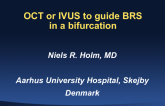 Case #7: OCT and/or IVUS to Guide BRS in a Bifurcation