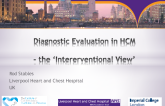 Diagnostic Evaluation of Patients Referred with HCM Diagnosis