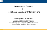 Transradial Peripheral Intervention: What is Feasible? What Equipment Do We Need?