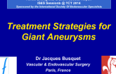 Treatment Strategies for Giant Aneurysms