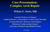Case Presentation: A Complex Arch Repair