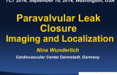 Paravalvular Leak Closure Imaging and Localization