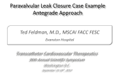 Case #1: Mitral Paravalvular Leak Closure: Antegrade Approach
