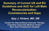 Summary of Current US and EU Guidelines and AUC for Left Main Revascularization: Consistencies and Gaps