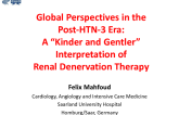 Global Perspectives in the Post-HTN-3 Era: A Kinder and Gentler Interpretation of Renal Denervation Therapy