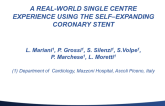 A Real-World Single Centre Experience Using The Self?Expanding Coronary Stent
