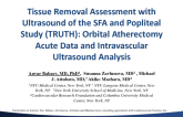 Tissue Removal Assessment with Ultrasound of the SFA and Popliteal Study (TRUTH): Orbital Atherectomy Acute Data and Intravascular Ultrasound Analysis
