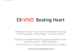 Ex-Vivo Simulator for Training, Teaching, and Testing of Transcatheter Valve Therapies Based on the Principle of a Passive Beating Heart