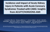 Incidence and Impact of Acute Kidney Injury in Patients with Acute Coronary Syndromes Treated with CABG: Insights from ACUITY/HORIZONS-AMI