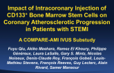 Impact of Intracoronary Injection of CD133+ Bone Marrow Stem Cells on Coronary Atherosclerotic Progression in Patients with STEMI: A COMPARE-AMI IVUS Substudy