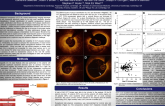 Coronary Plaque Characterisation by Optical Coherence Tomography: An Inter-observer Analysis