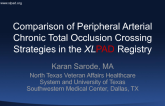 Comparison of Peripheral Arterial Chronic Total Occlusion Crossing Strategies in the XLPAD Registry