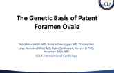 The Genetic Basis Of Patent Foramen Ovale