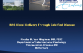 Case #5: BRS Distal Delivery Through Calcified Disease