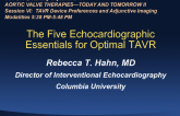 The Five Echocardiographic Essentials for Optimal TAVR