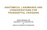 Anatomical Landmarks and Considerations for Transseptal Crossing