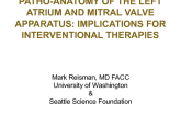 Patho-Anatomy of the Left Atrium and Mitral Valve Apparatus: Implications for Interventional Therapies
