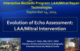 Evolution of Echo Assessment: LAA/Mitral Intervention