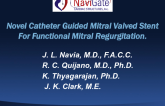 Novel Catheter Guided Mitral Valved Stent for Functional Mitral Regurgitation