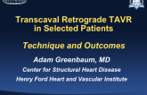 Transcaval Retrograde TAVR in Selected Patients  Technique and Outcomes