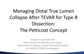 Managing Distal True Lumen Collapse After TEVAR for Type B Dissection: The Petticoat Concept