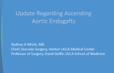 Endovascular Solutions for the Ascending Aorta