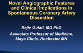 Novel Angiographic Features and Clinical Implications in Spontaneous Coronary Artery Dissection