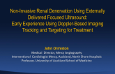 Noninvasive Renal Denervation Using Externally Delivered Focused Ultrasound: Early Experience Using Doppler-Based Imaging Tracking and Targeting for Treatment