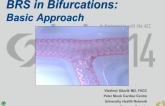 BRS in Bifurcations: Basic Approach
