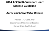 Guideline Update: Aortic and Mitral Valve Disease and the 2014 AHA/ACC Guideline for Valvular Heart Disease
