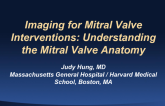 Imaging for Mitral Interventions: Understanding the Mitral Valve Anatomy