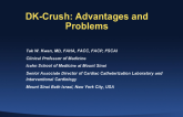 Case #4: DK-CRUSH: Advantages and Problems