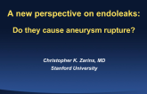 A New Perspective on Endoleaks: Do They Cause Aneurysm Rupture?