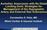 Aortoiliac Aneurysms with No Distal Landing Zone: Strategies for Management of the Hypogastric Artery and External Iliac Extensions