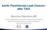 Case #4: Aortic Paravalvular Leak Closure: After TAVR