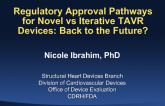 Regulatory Approval Pathways for Novel vs Iterative TAVR Devices: Back to the Future?