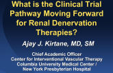 What Is the Clinical Trial Pathway Moving Forward for Renal Denervation?