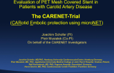 Evaluation of a PET Mesh Covered Stent in Patients with Carotid Artery Disease: Results of the First in Man CARENET Trial