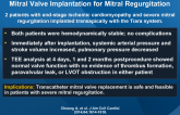 Short-term Results of Transapical Transcatheter Mitral Valve Implantation for Mitral Regurgitation