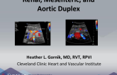 Renal, Mesenteric, and Aortic Duplex