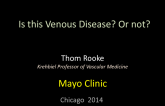 Is this Venous Disease or Not?
