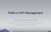 Trellis in DVT Management