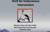 IVUS in Endovenous Interventions