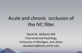 Acute and chronic occlusion of the IVC filter