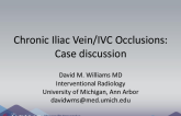 Chronic Iliac Vein-IVC Occlusions: A Case-Based Approach