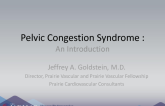 Pelvic Congestion Syndrome: An Introduction