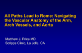 All Paths Lead to Rome: Navigating the Vascular Anatomy of the Arm, Arch Vessels, and Aorta